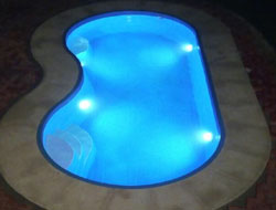 Bean Shaped Pool Manufacturer in Ghaziabad